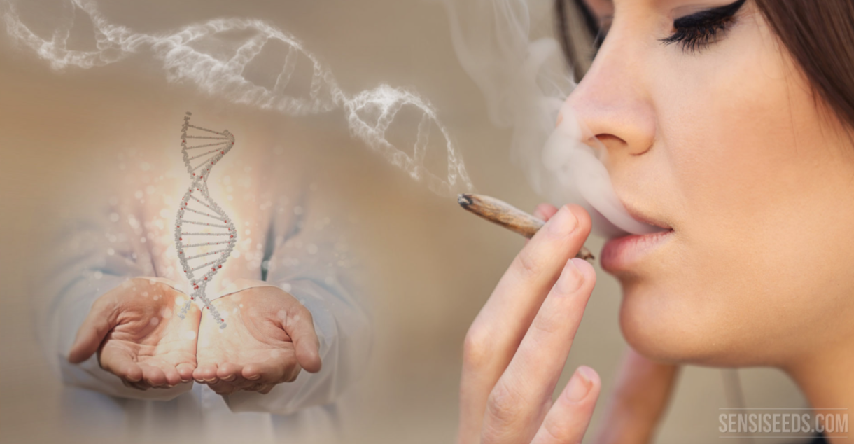 medicina genômica e endocanabinoide