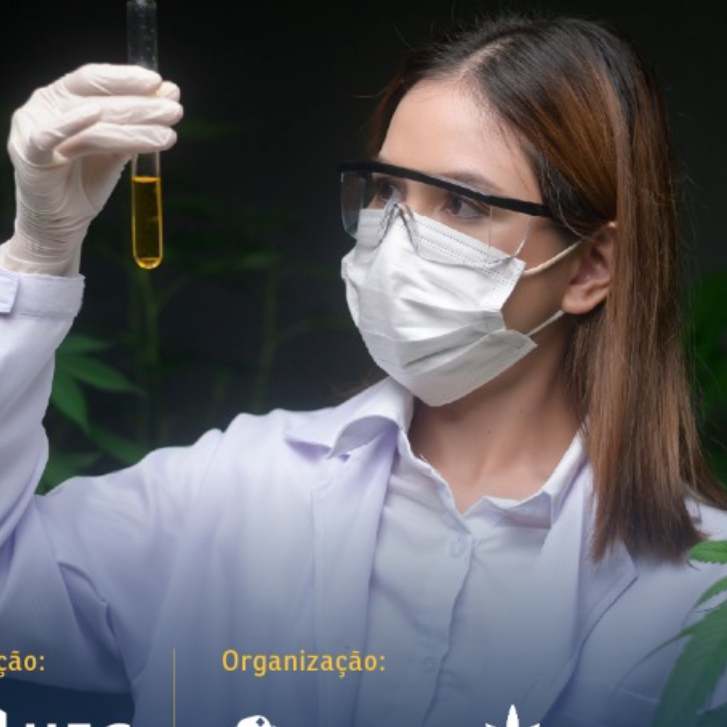 consultoria online cannabis medicinal