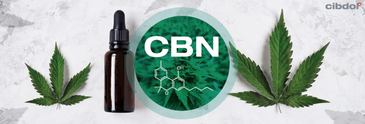 canabinol cbn ação mecanismo