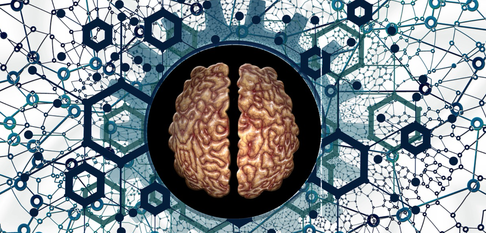 endocanabinoidoma canabinoides sistema