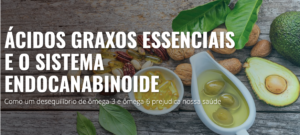 ácidos graxos sistema endocanabinoide