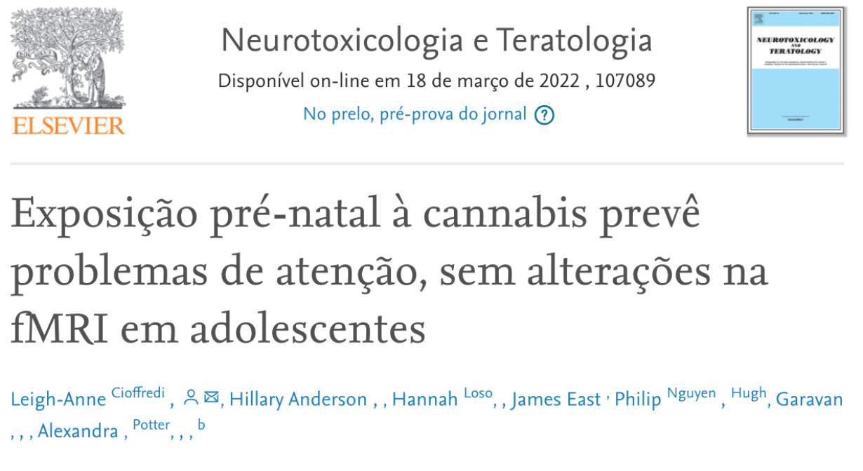 gestantes e cannabis