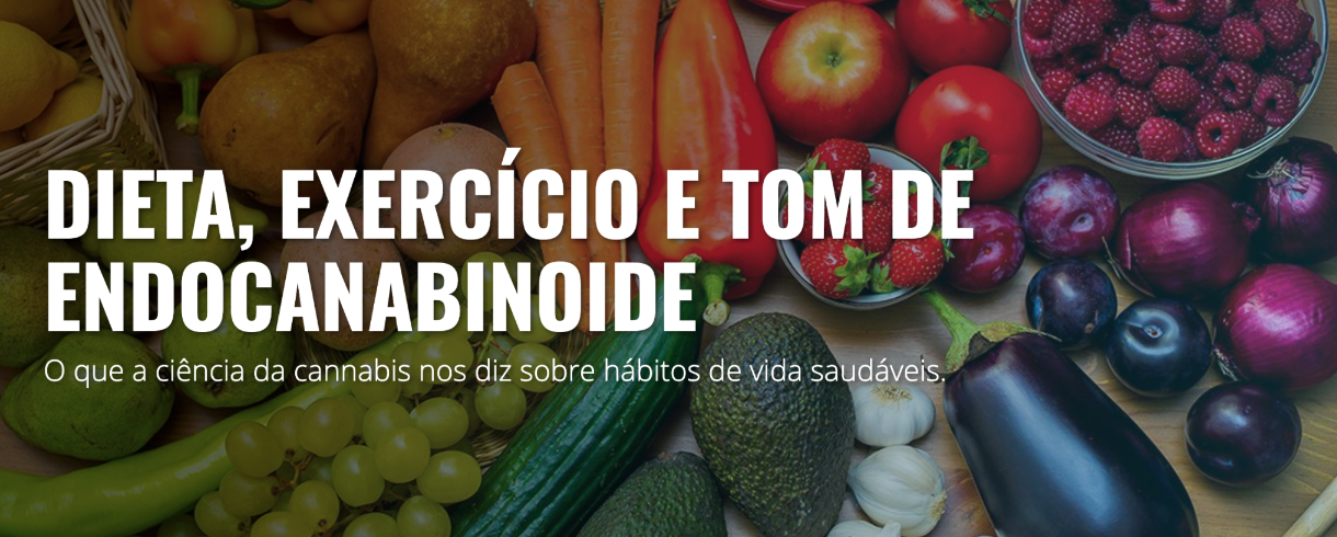 endocanabinoide, dieta e exercicio