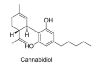 mecanismo de ação canabidiol cbd sistema endocanabinoide