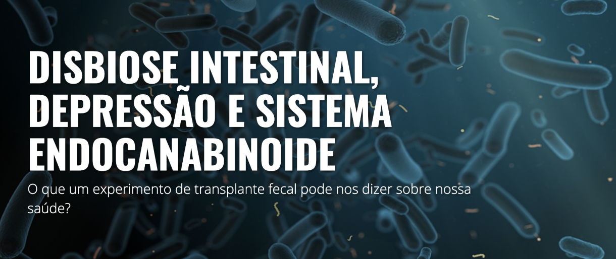 disbiose intestinal e depressão