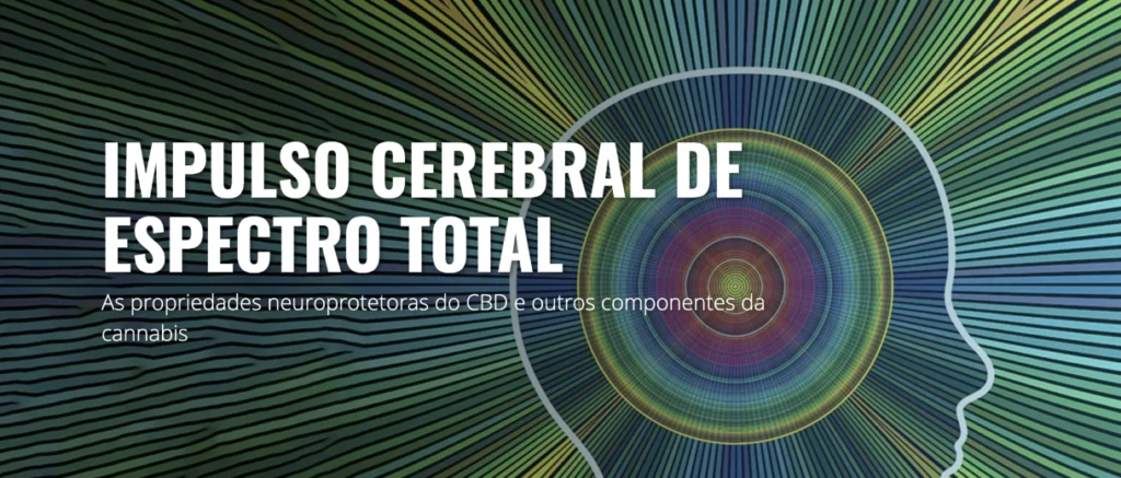 neuroprotetora cannabis e canabinoides