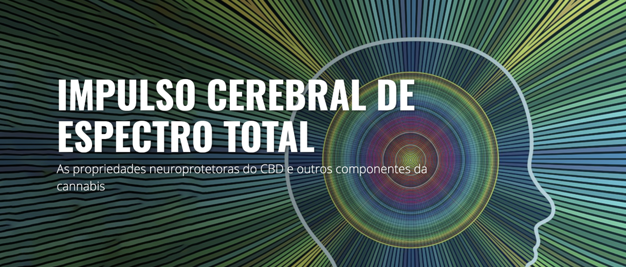 neuroprotetora cannabis e canabinoides
