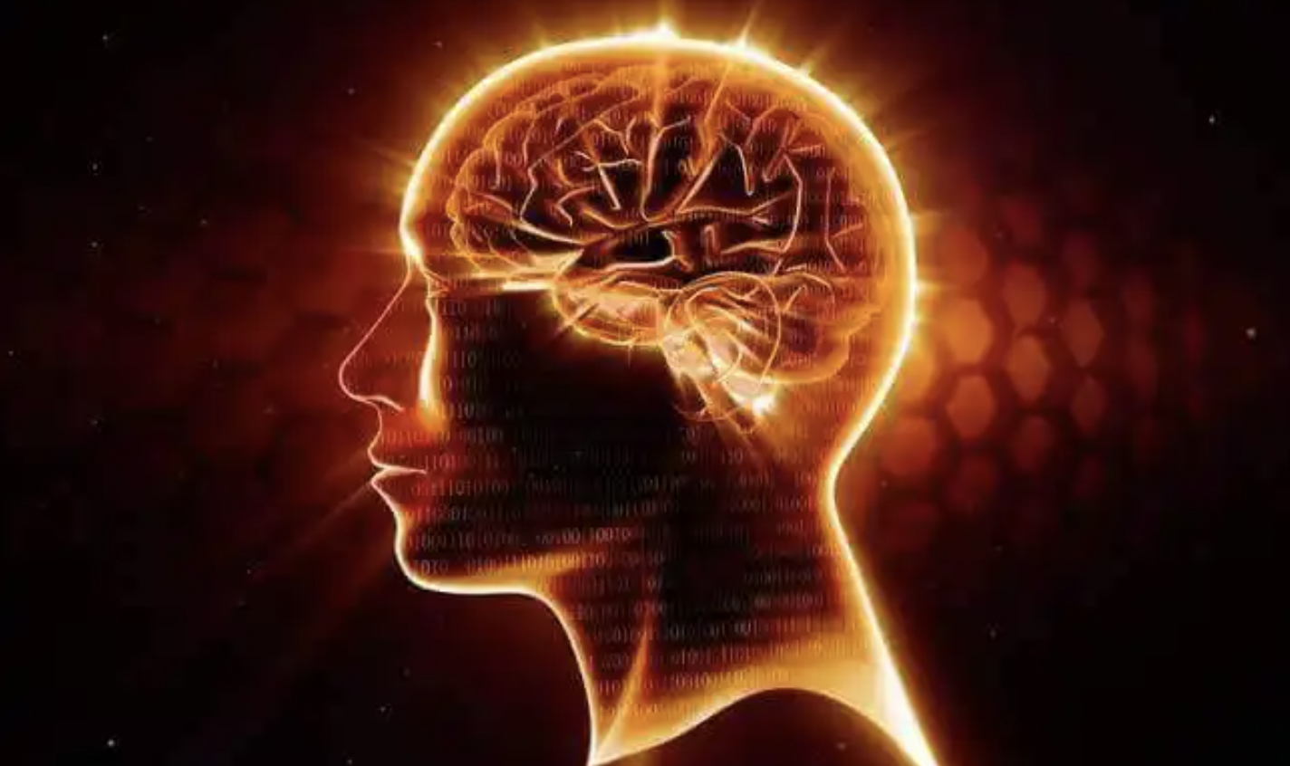 blog medicina organica