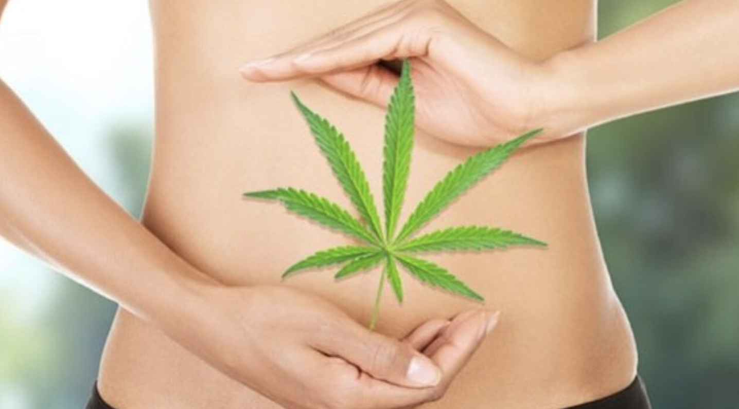 canabidiol no tratamento da endometriose