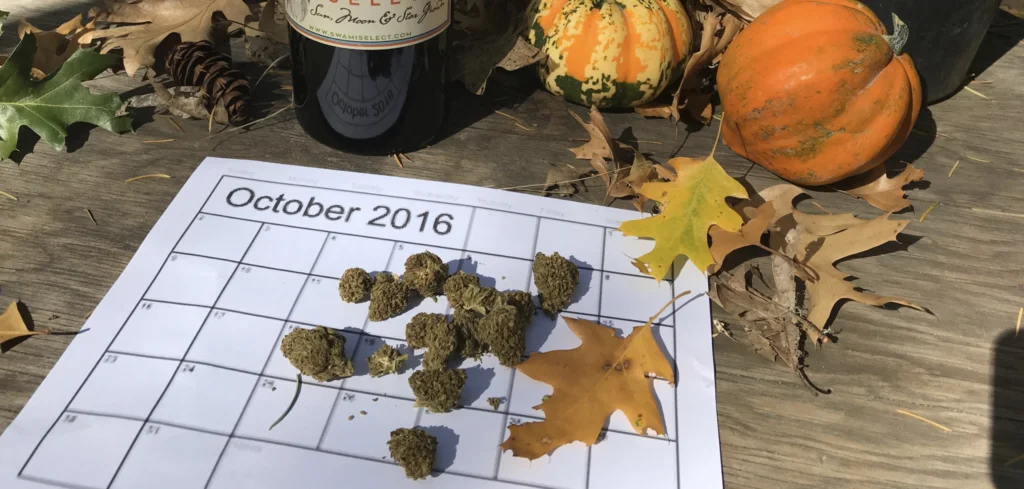 oxidação canabidiol cbd