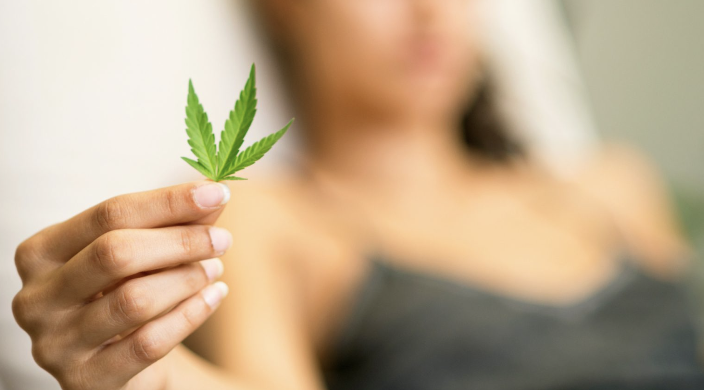 Cannabis para endometriose