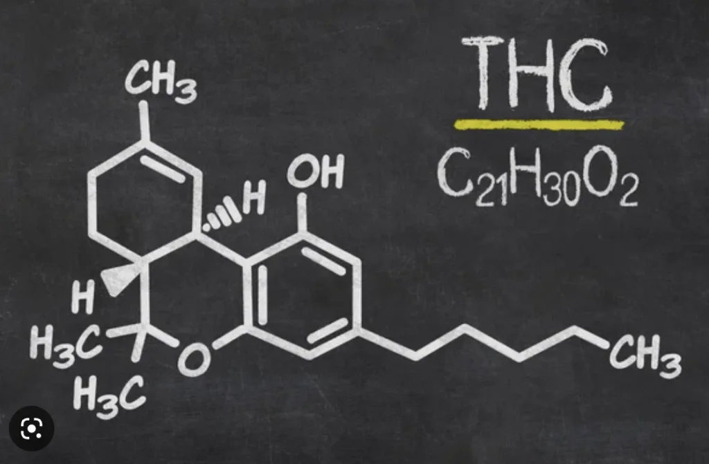 tetrahidrocanabinol THC heroi ou vilao