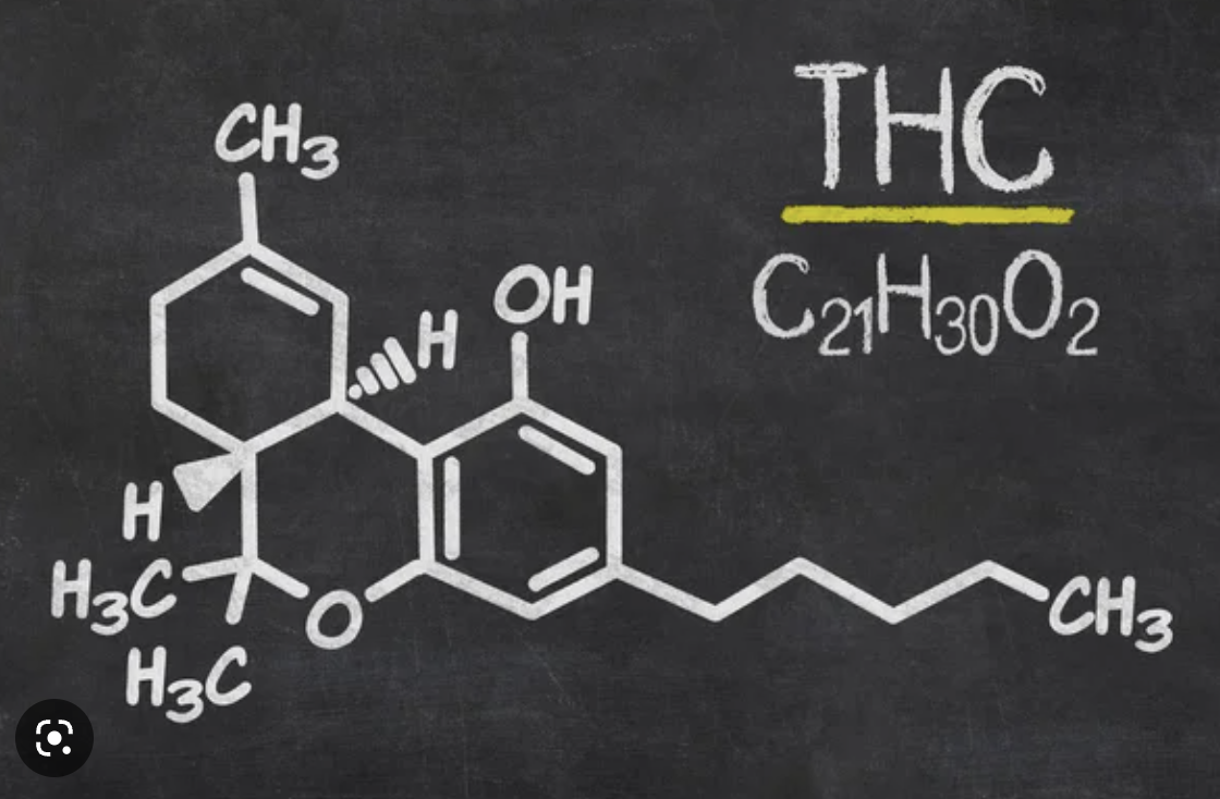 tetrahidrocanabinol THC heroi ou vilao