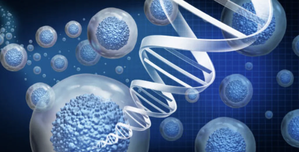 biomedicina regenerativa e endocanabinoides