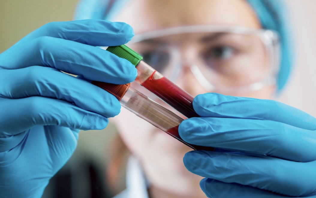 biomedicina regenerativa e endocanabinoides