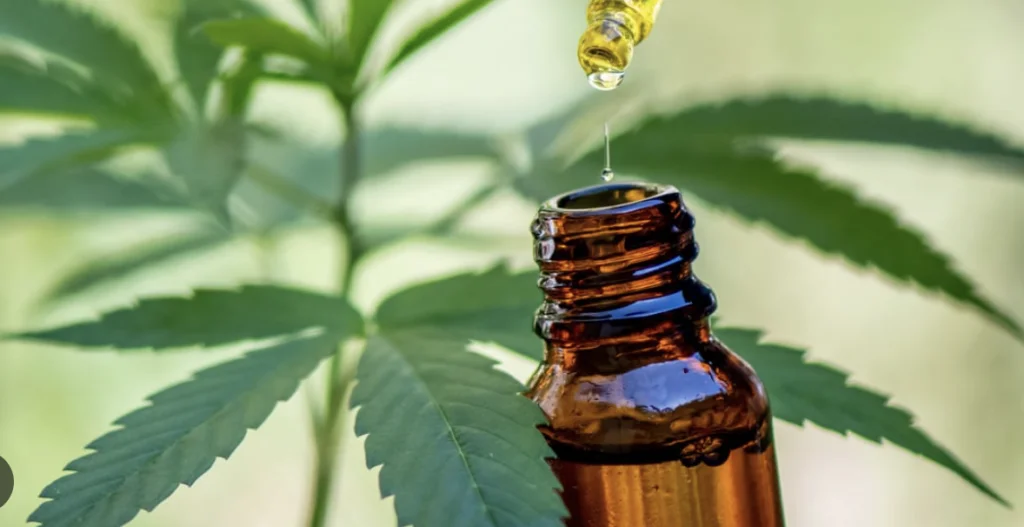 autismo e canabidiol