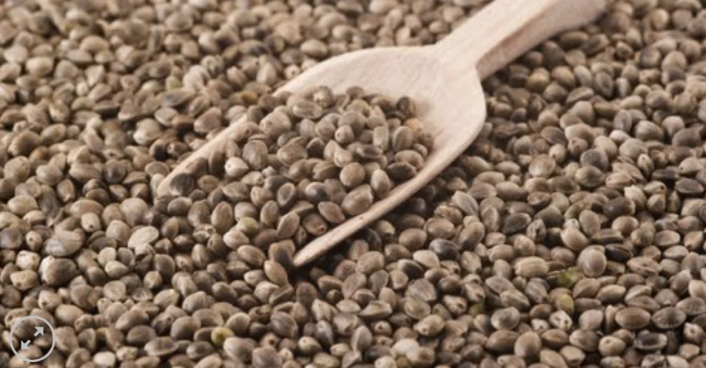 cânhamo propriedades nutricionais