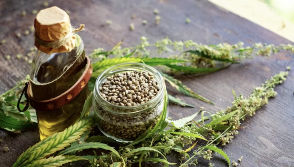 canhamo propriedades nutricionais