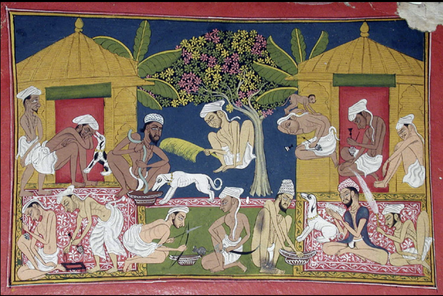 historia da cannabis india