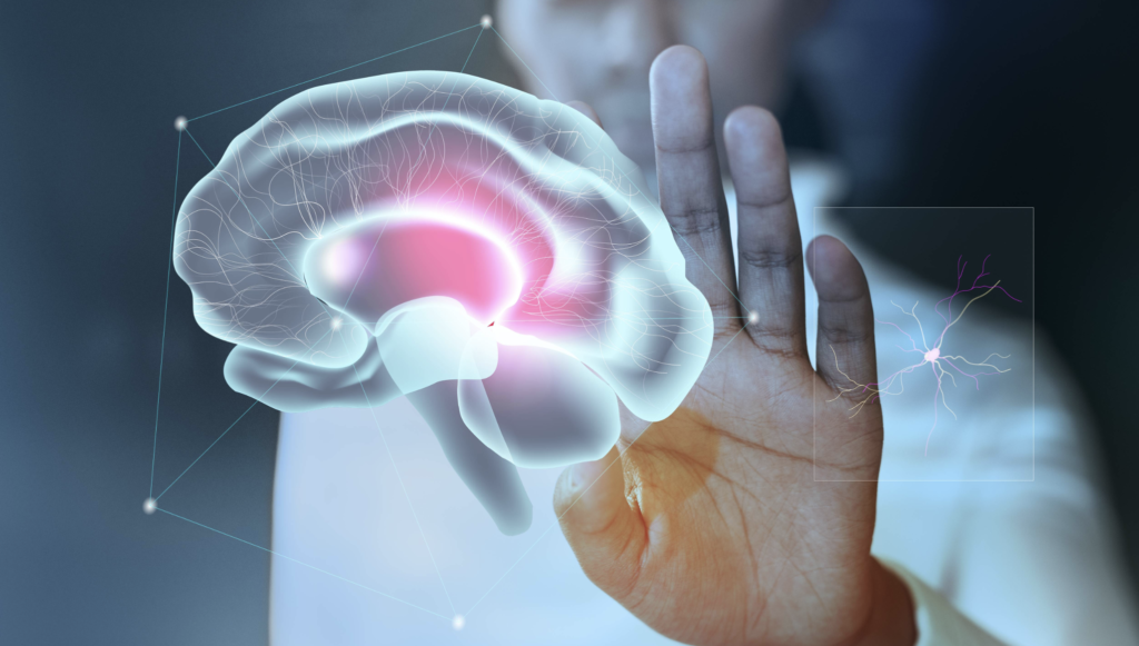 cannabis no alzheimer