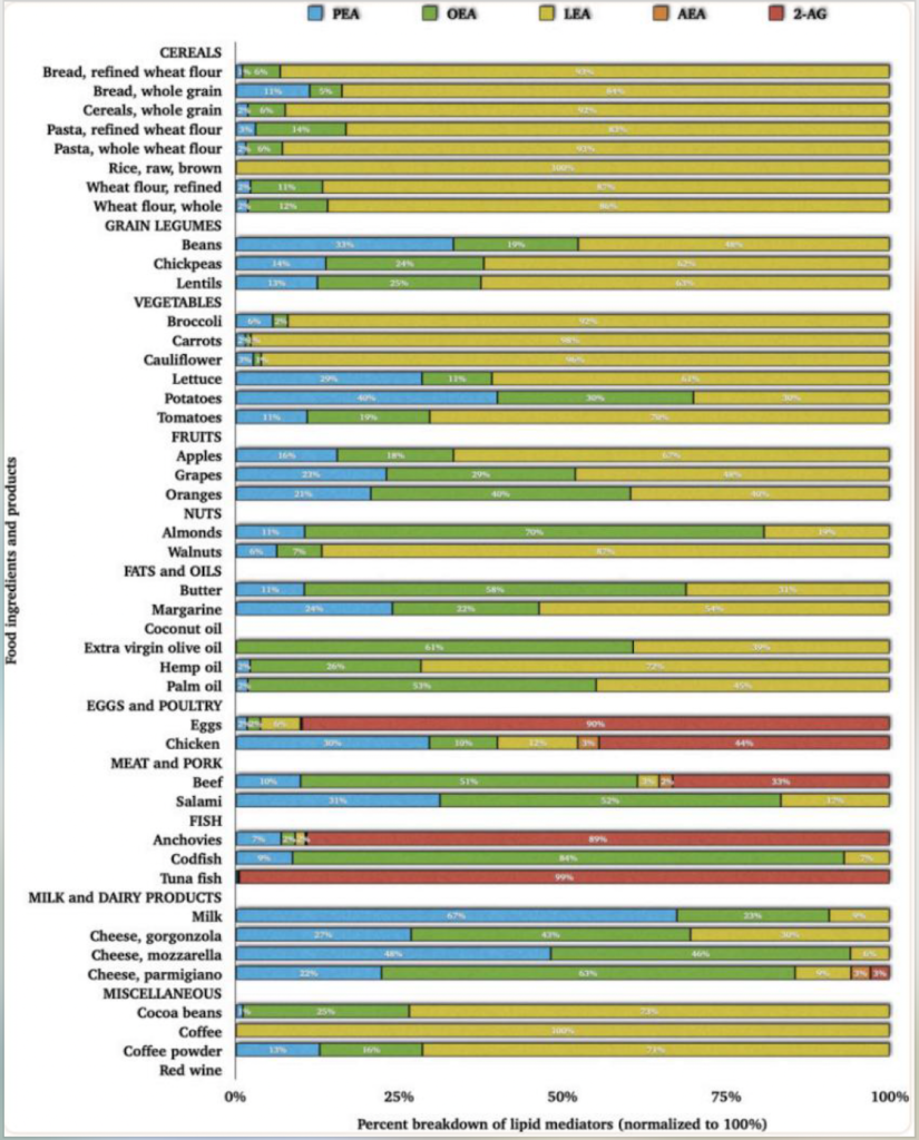microbioma-endocanabinoidoma-na-obesidade