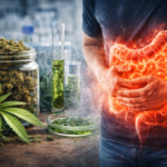 cannabis e intestino irritavel